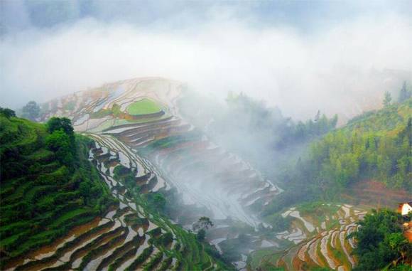 ��������ʮ���Ļ�