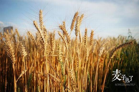 ũ�����³�һ���ϰ��