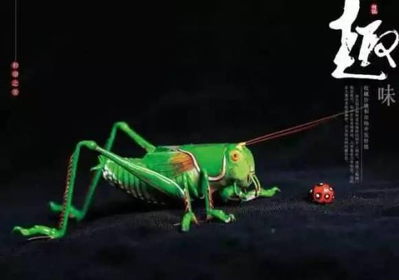 ���ϰ����������Ͼ���