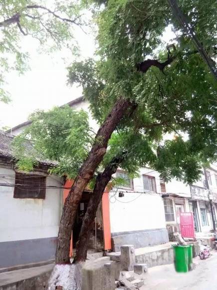 ���ϰ������� ��ɫ���ʯ��