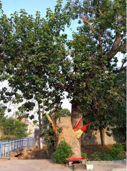 ���ϰ������� ��ɫ���ʯ��