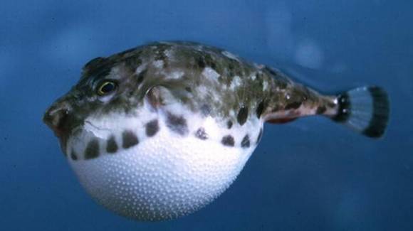 ���������ʡ�ָ����������