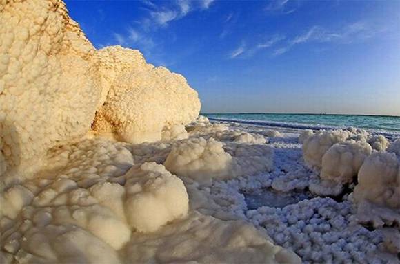 �½��޲������ֵ�����