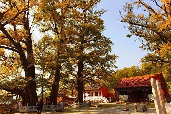 ����³ɽ������