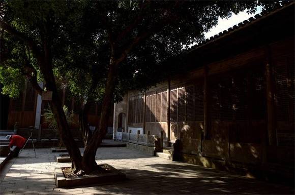 ���ջ�ɽ�޶�����