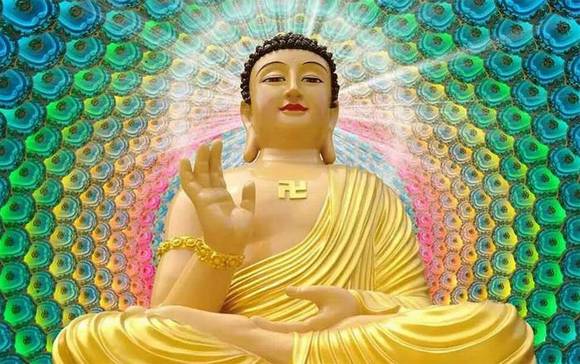 ���������޺�������