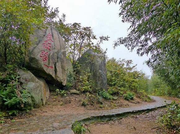 ���ʮ������������� ������ɽ�μҳ�