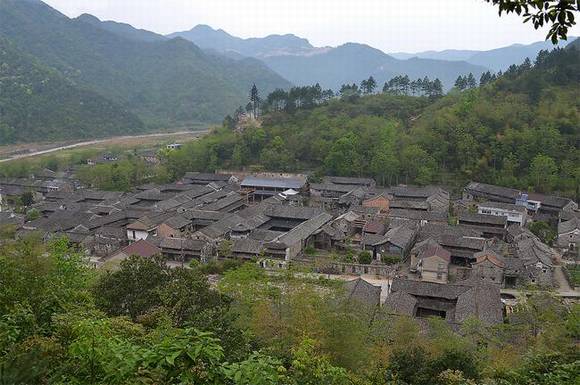 �㽭���Ŷ����Ŵ�