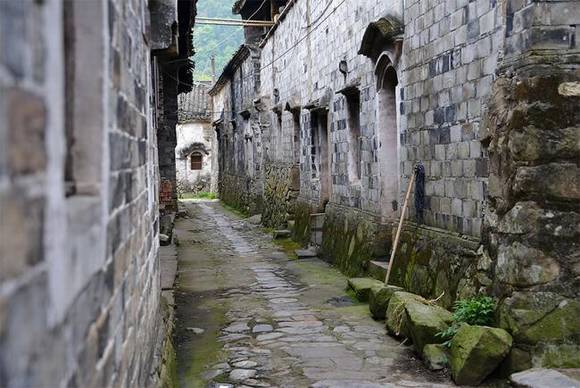 �㽭���Ŷ����Ŵ�