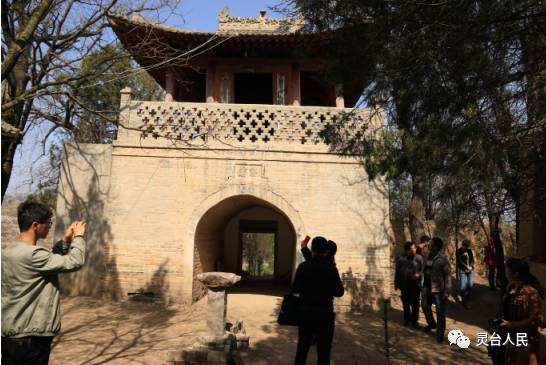 ƽ����̨����������