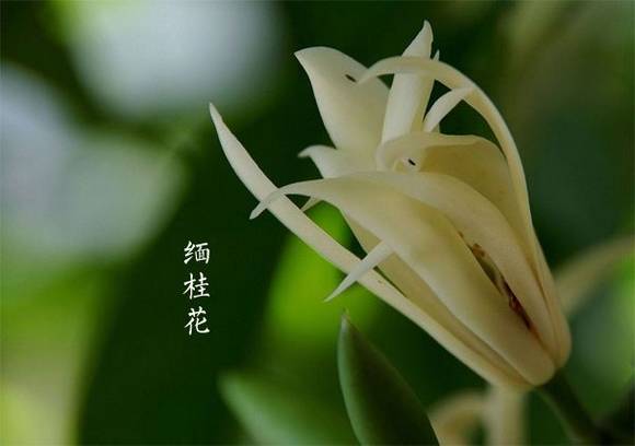 �������ܰ���Ĵ�˵