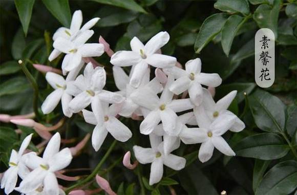 �������ܰ���Ĵ�˵