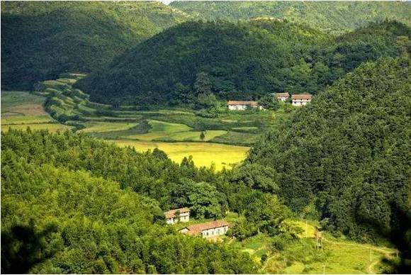 �����ϳ������ɽ��˵