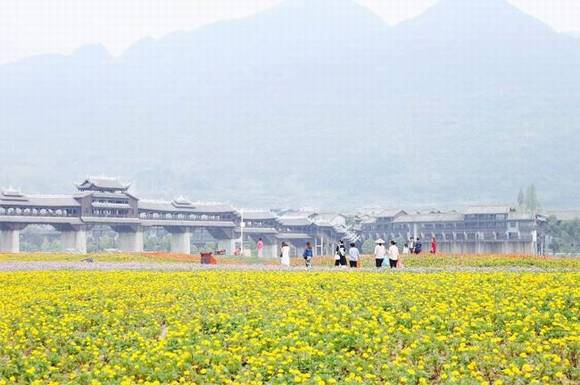 �����γǵķ�������