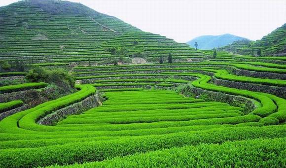 ���ϼκ����׷���