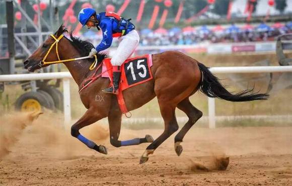 ���� �����ϵĹ����˶�