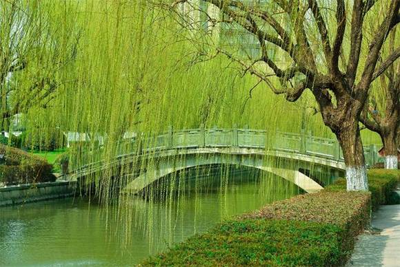 ɽ�������л�/����/����/���鶯��