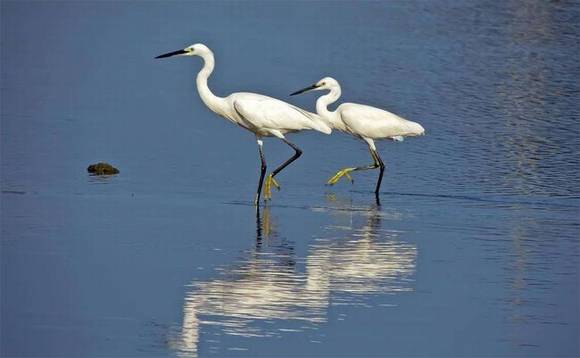 ɽ�������л�/����/����/���鶯��