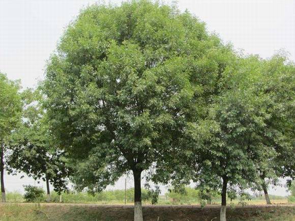 ����л�/����/����