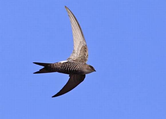 �����л�/����/����