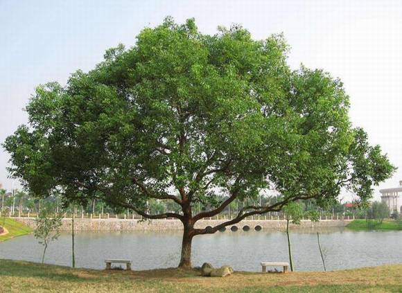 �Ϻ��л�/����/����