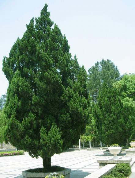 �����л�/����