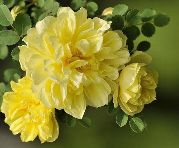 �����л�/����