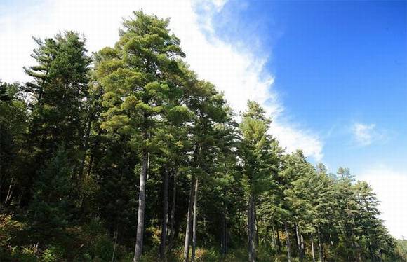 �����л�/����/����