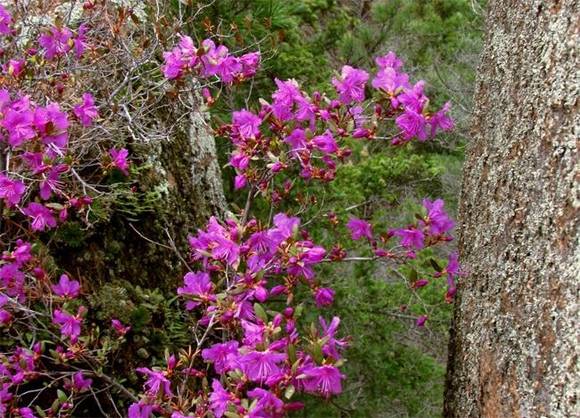 �����л�/����/����