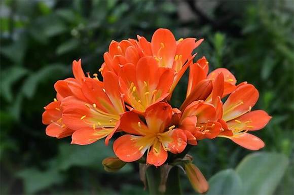 �����л�/����