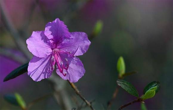 �Ӽ��л�/����/�б�/���ƽ���