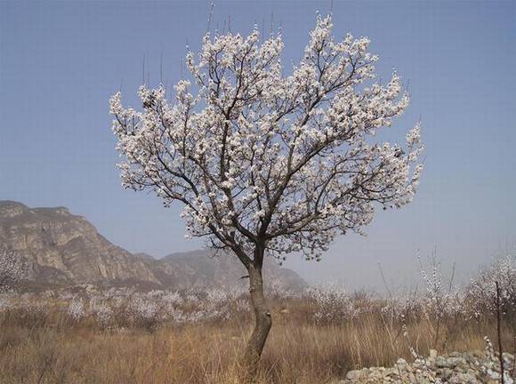 ��˳�л�/����