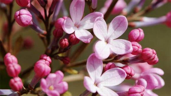 ���ͺ����л�/����