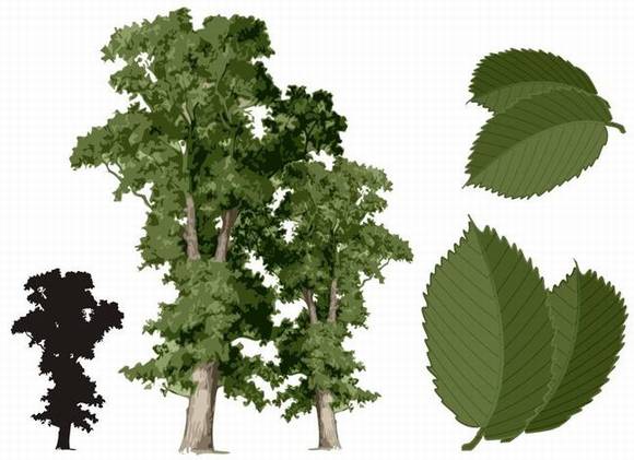 ��³ľ���л�/����