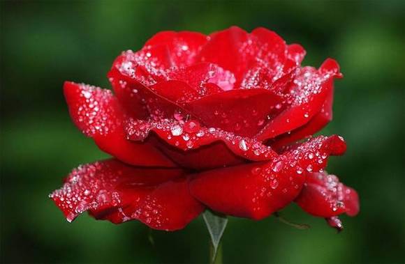 �����л�/����/����/�л�/�и�