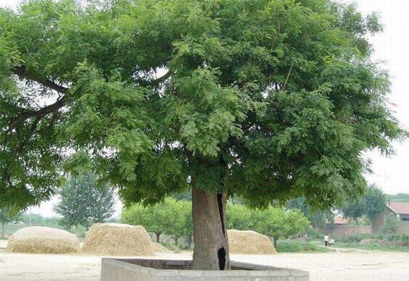 �����л�/����/����/�л�/�и�