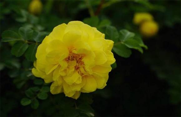 �����л�/����