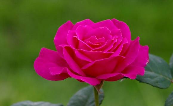 �����л�/����