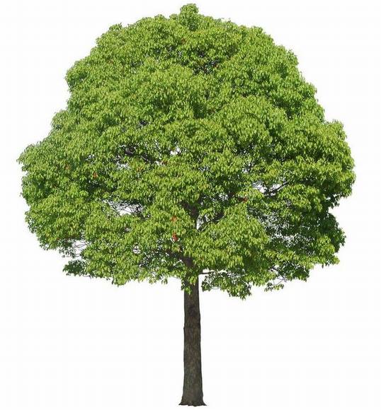 �����л�/����