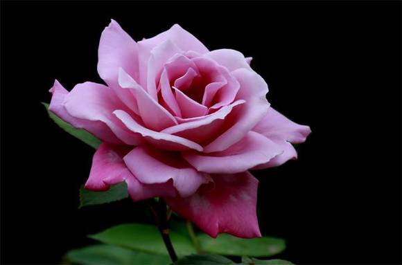 ����ɽ�л�/����