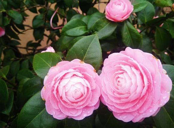 �����л�/����