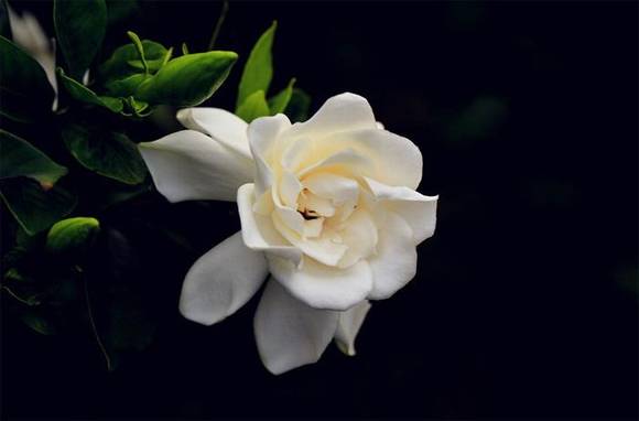 �����л�/����/�л�