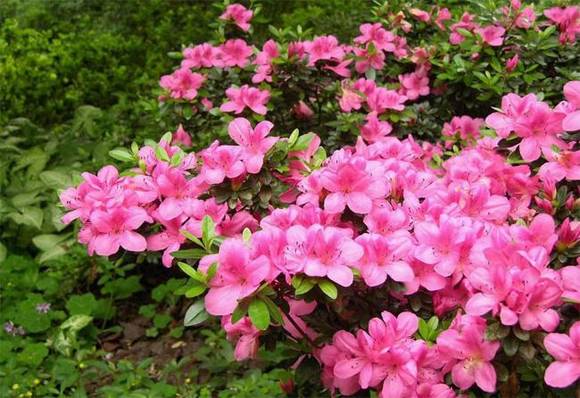 �����л�/����