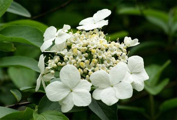 �����л�/����