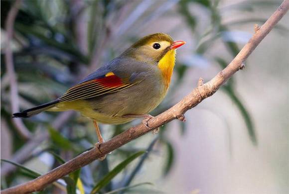 ��ɽ�л�/����/����