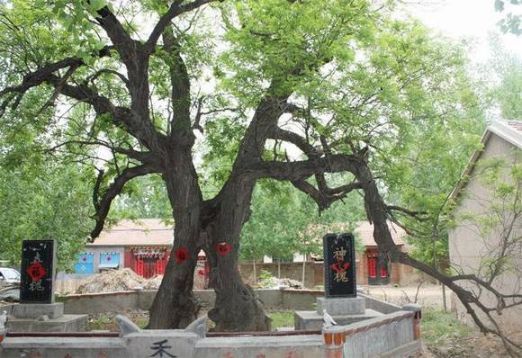 �����л�/����