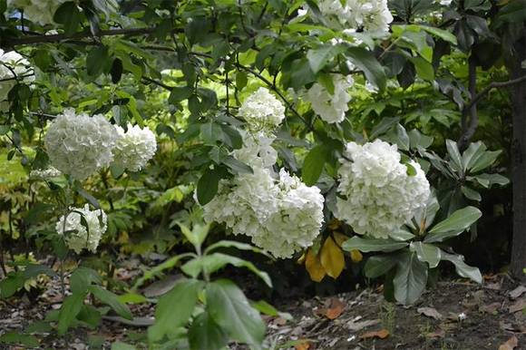 �����л�/����