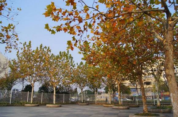 �����л�/����