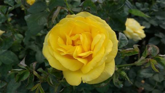 �����л�/����