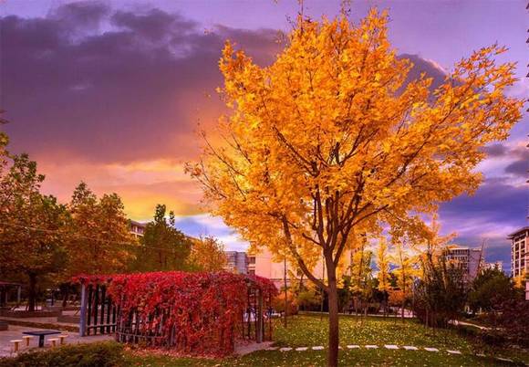 �����л�/����